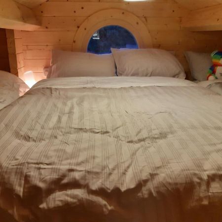 Springbank Cabin Insch Zewnętrze zdjęcie