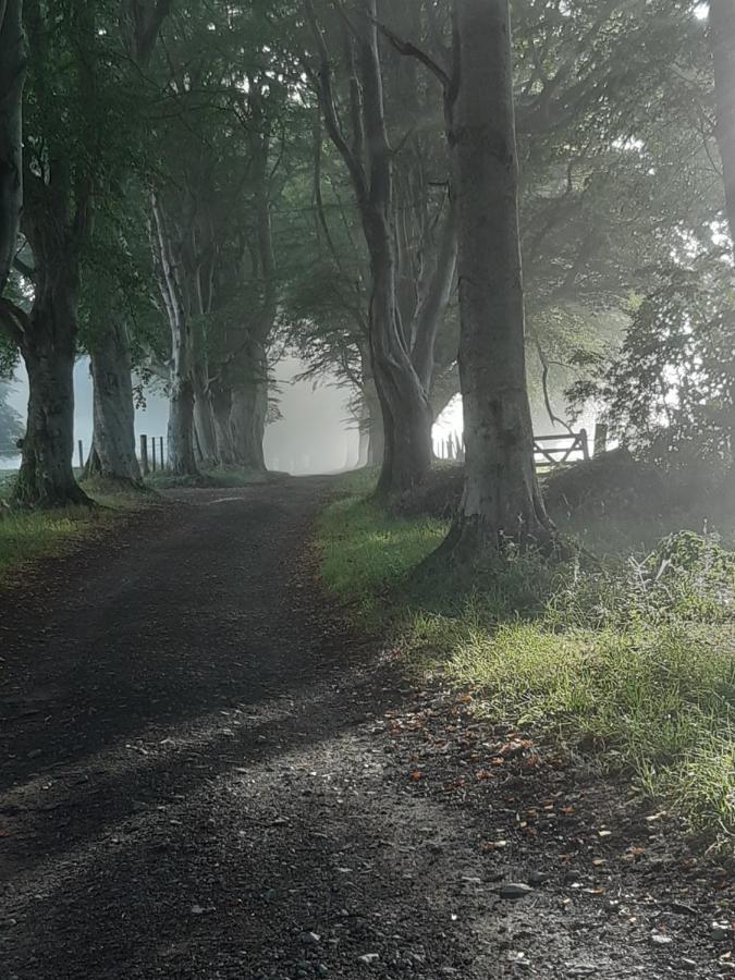 Springbank Cabin Insch Zewnętrze zdjęcie